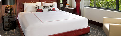 King with Day Bed Suite